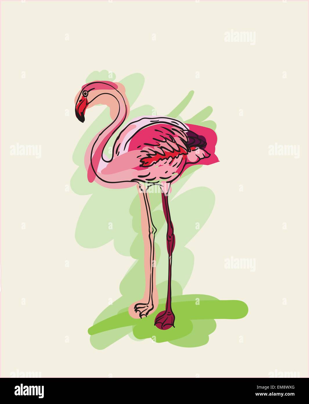 Painted flamingo bird - vector illustration Stock Vector Image & Art ...