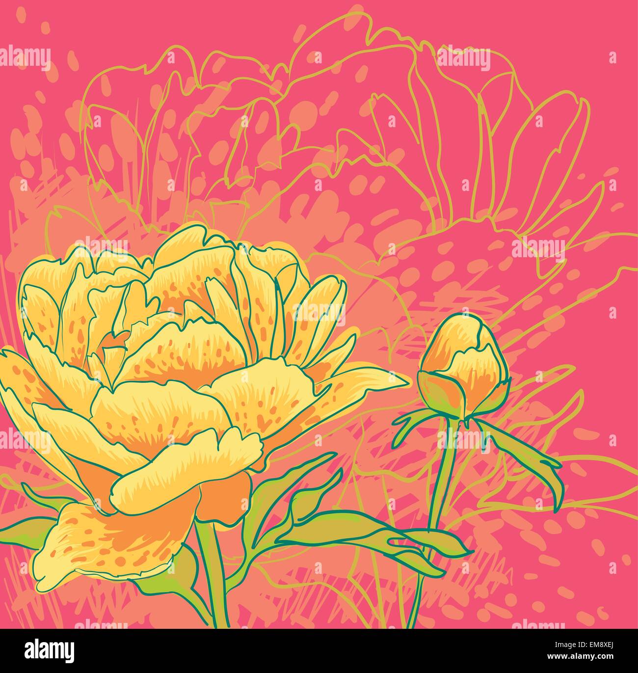 Vector decorative image peony flowers Stock Vector Image & Art - Alamy
