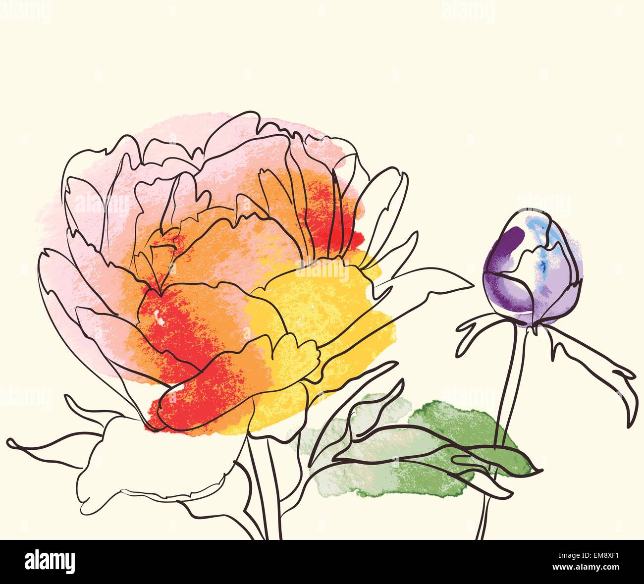 Vector decorative image peony flowers Stock Vector Image & Art - Alamy