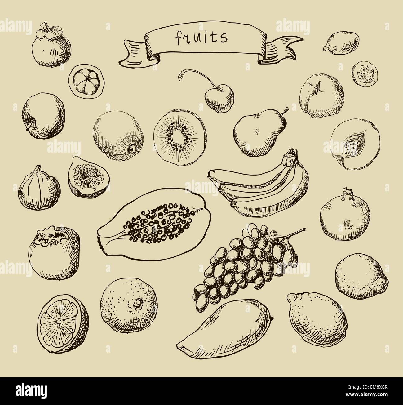 Set of Doodle Fruits hand drawn in vector Stock Vector Image & Art - Alamy