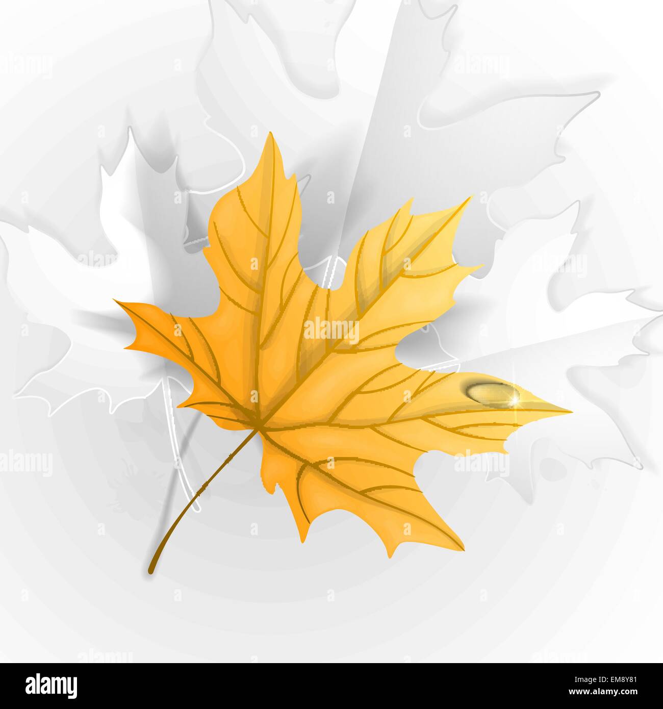 Autumn Leaves Background Stock Vector Image & Art - Alamy