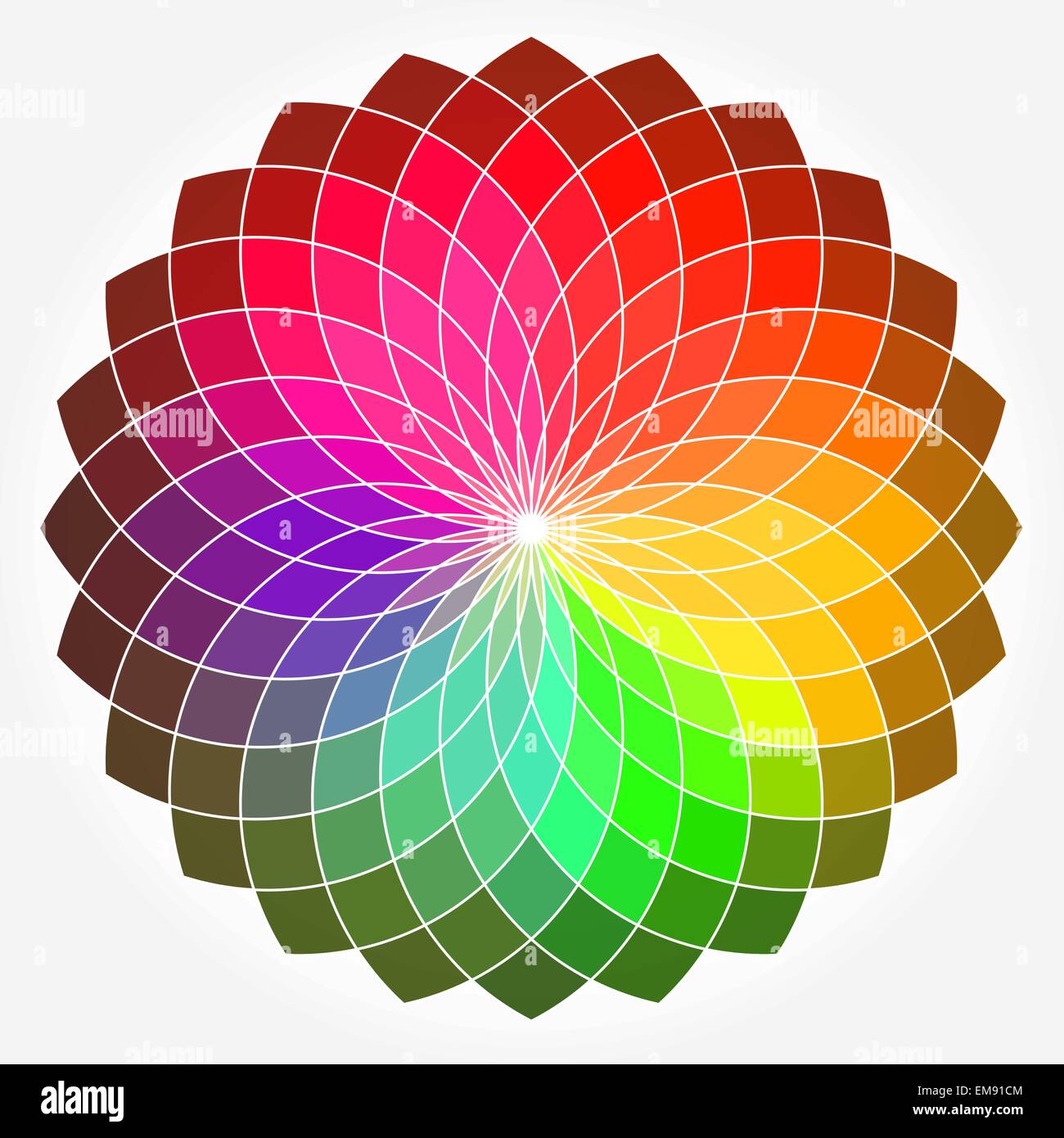 Color flower wheel Stock Vector