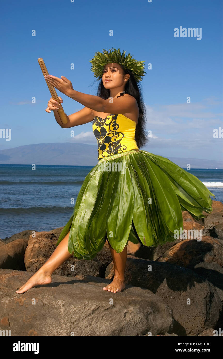 Female Hawaiian Hula dancer wearing coconut bikini, yellow lei, and leaf  skirt - SuperStock