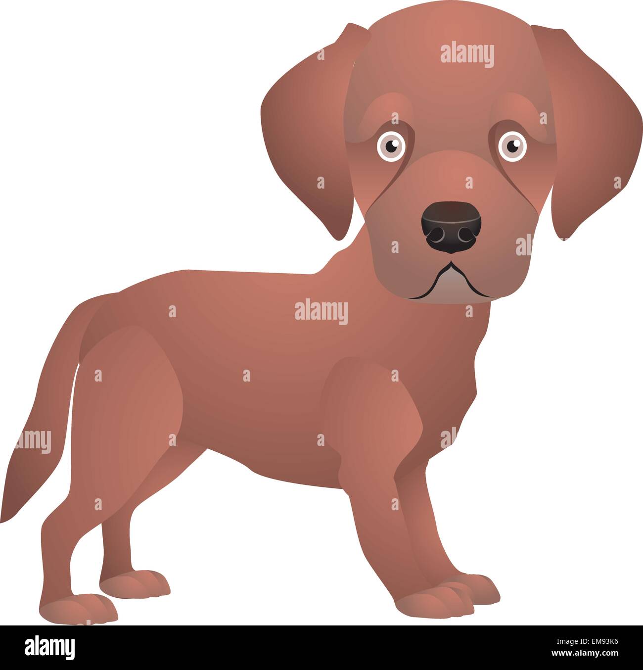 Vector illustration of Cartoon Dog Stock Vector Image & Art - Alamy