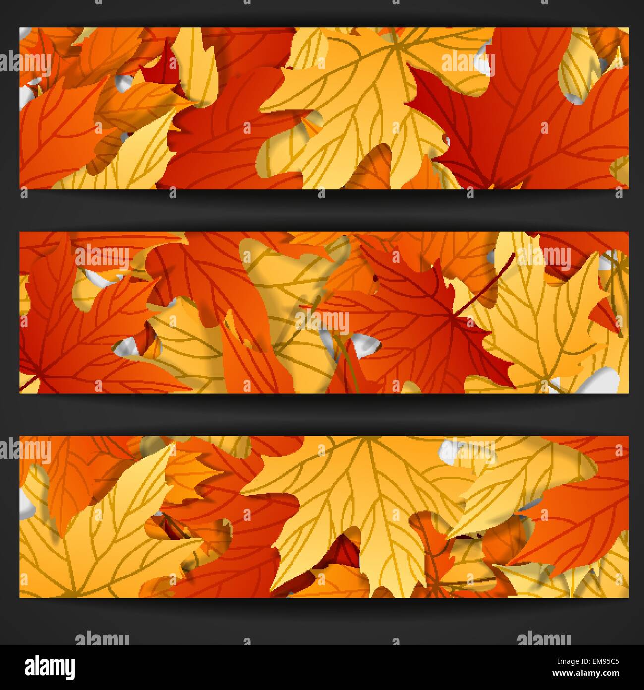 Autumn Leaves Background Stock Vector Image & Art - Alamy