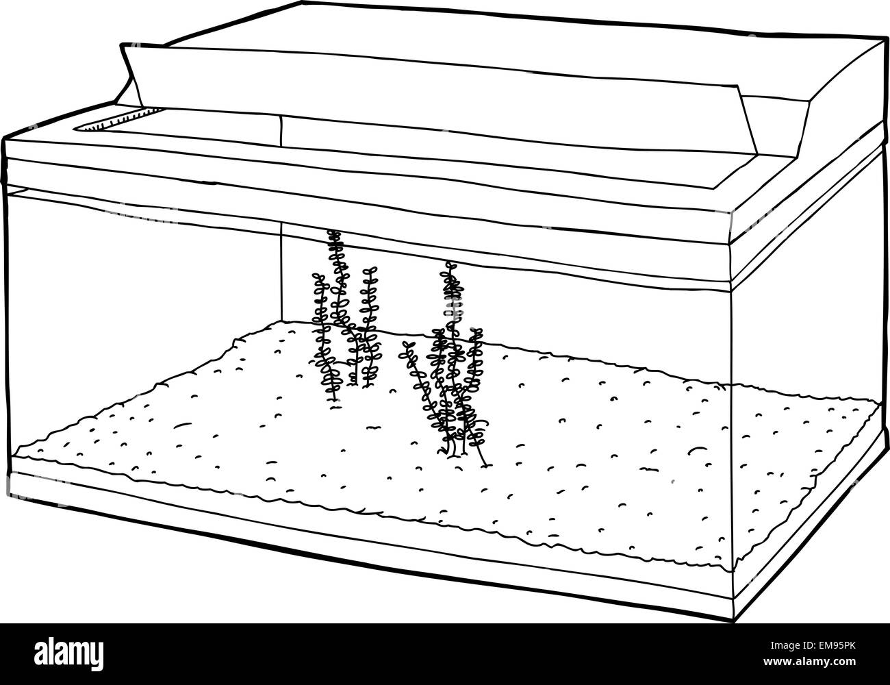 Isolated Cartoon Of Empty Aquarium Tank With Aquatic Plants Royalty ...