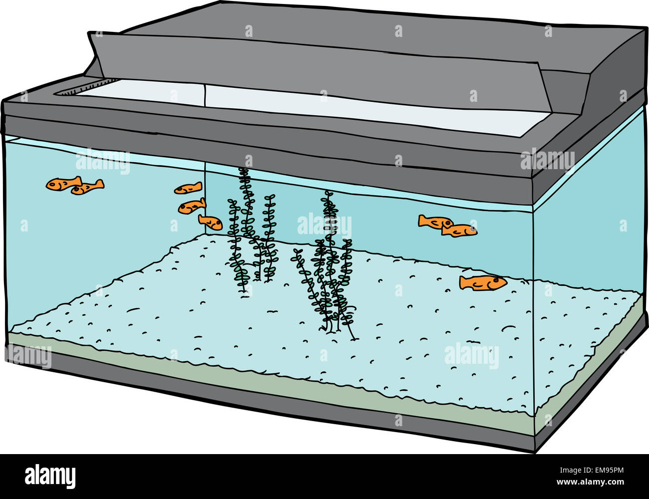 Aquarium with open lid and goldfish swimming Stock Photo - Alamy