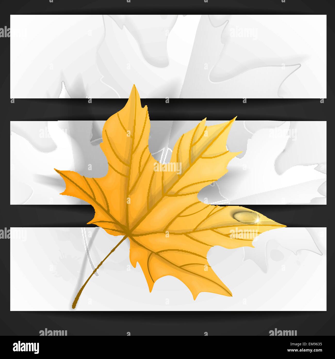 Autumn Leaves Background Stock Vector Image & Art - Alamy
