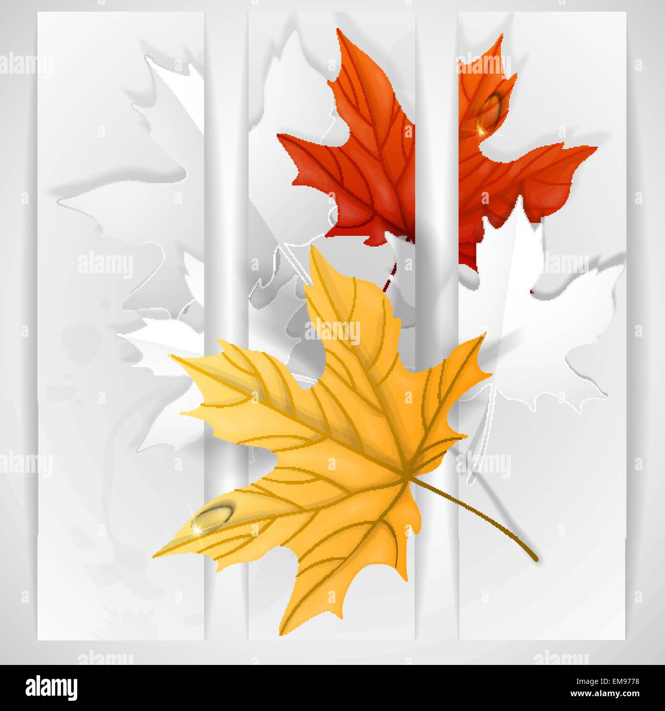 Autumn Leaves Background Stock Vector Image & Art - Alamy