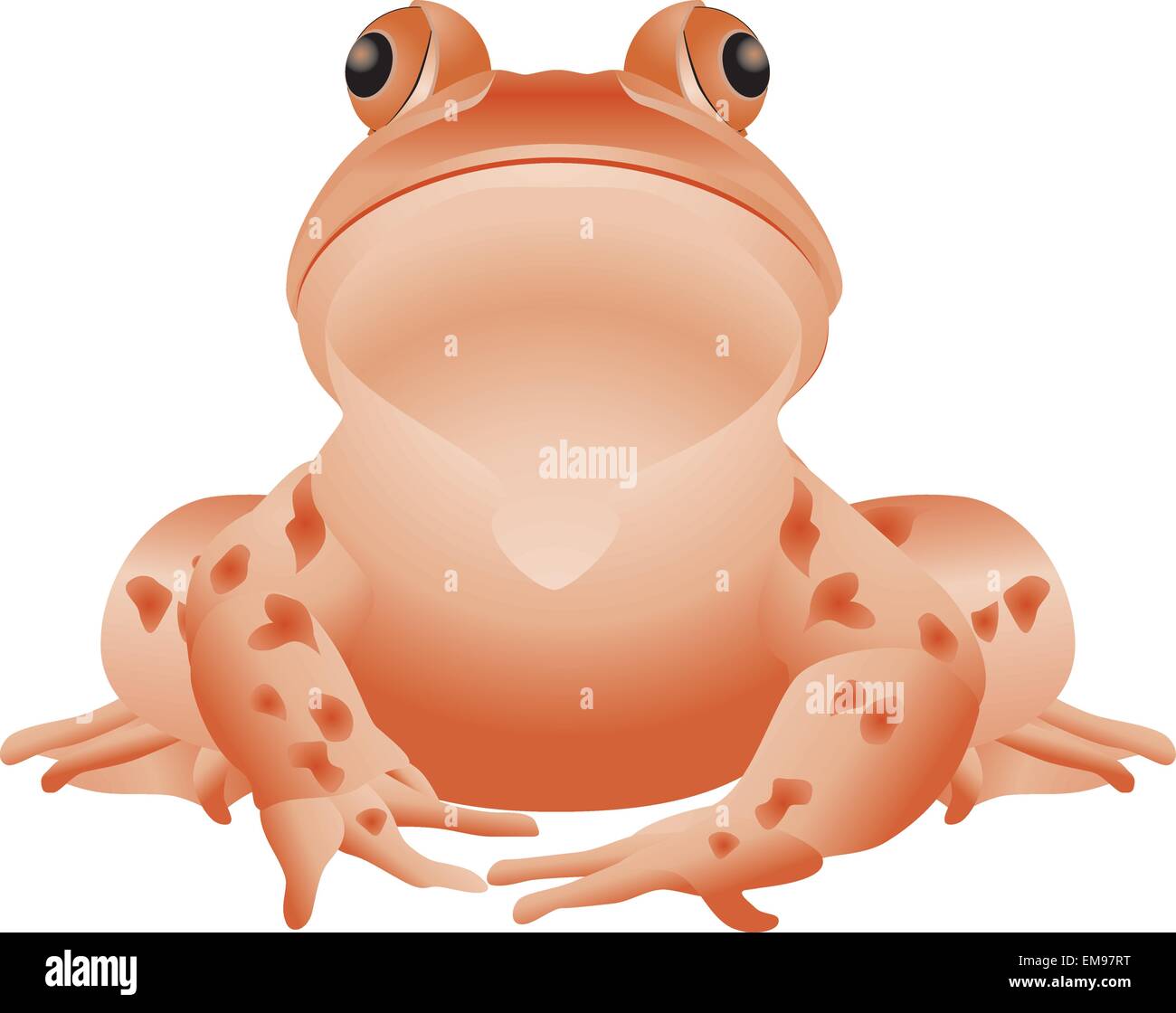 bullfrog clips