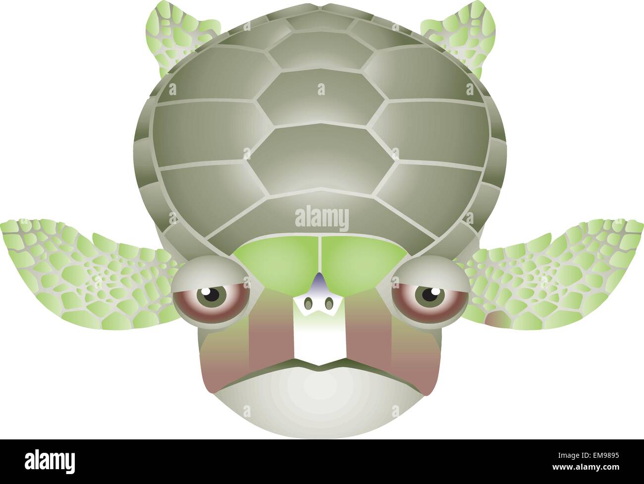 illustration of isolated turtle on white Stock Vector Image & Art - Alamy