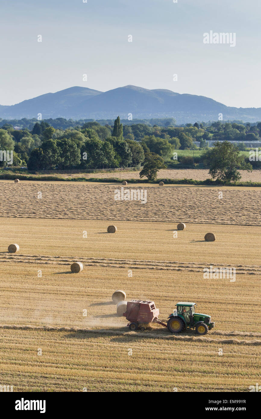 Farmer in tractor collecting hay straw bales with Malvern Hills in the background Stock Photo