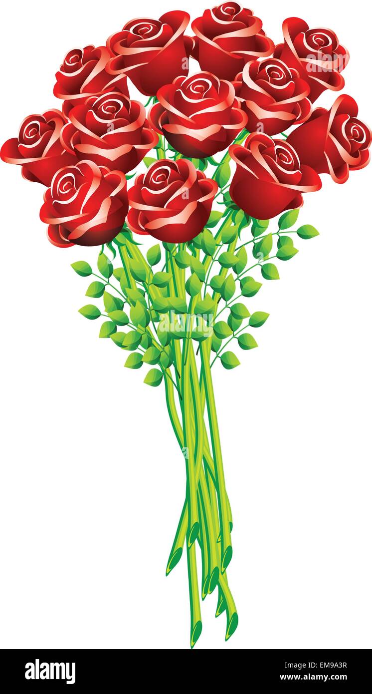 Rose bouquet- vector illustration Stock Vector Image & Art - Alamy