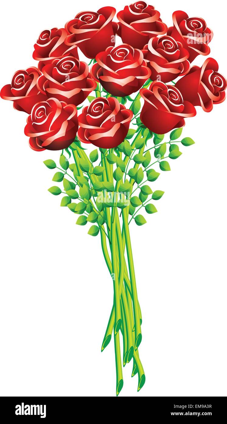 Rose bouquet vector illustration Stock Vector Image & Art Alamy