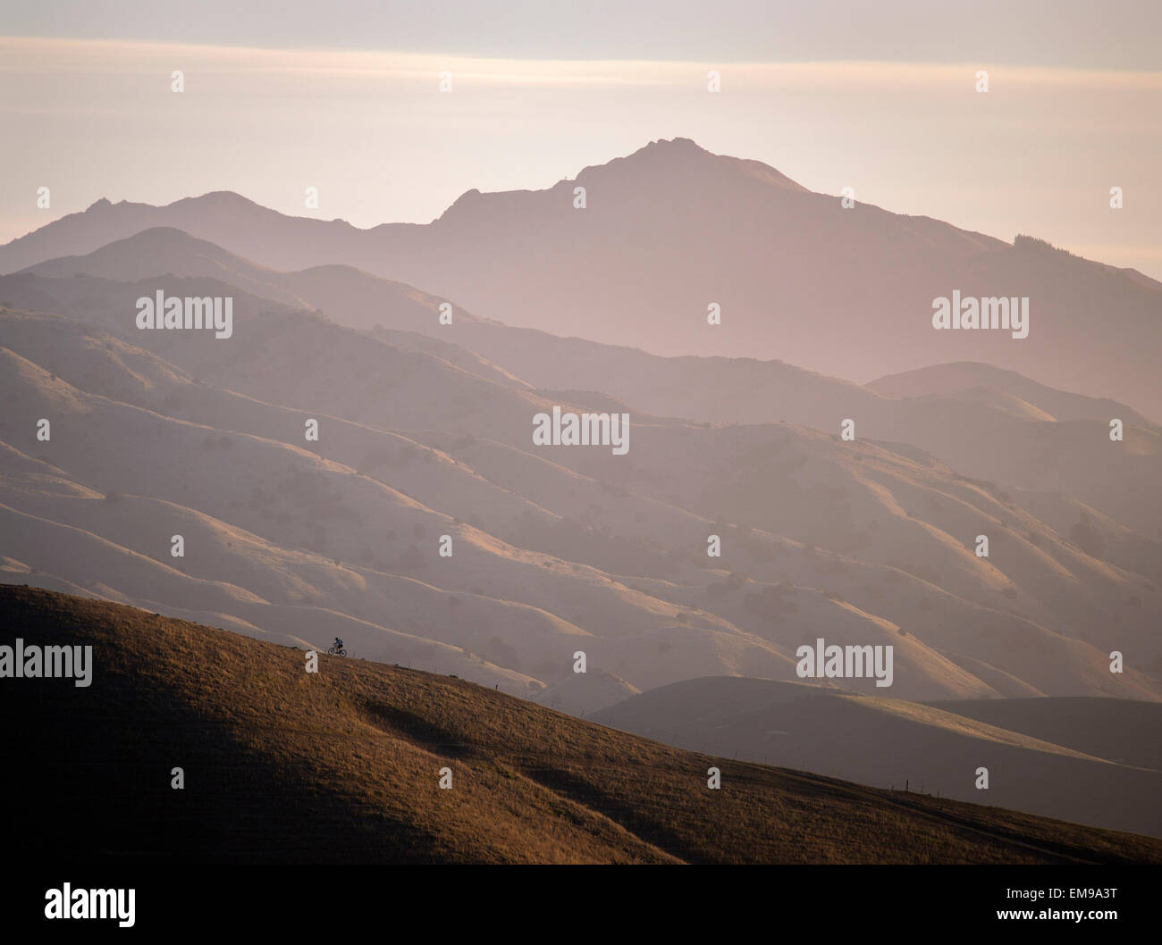Mountain biker on the Wither Hills with the Blairich Range beyond. Marlborough, New Zealand. Stock Photo