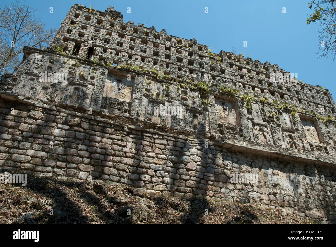 Yaxchilan maya art hi-res stock photography and images - Alamy