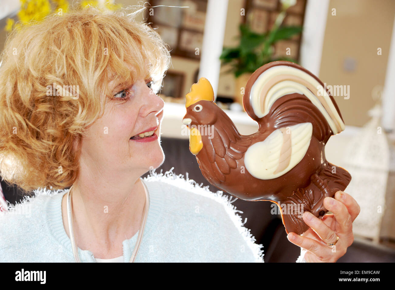 Woman mature eating her large Asda milk chocolate cockerel for Easter Stock Photo