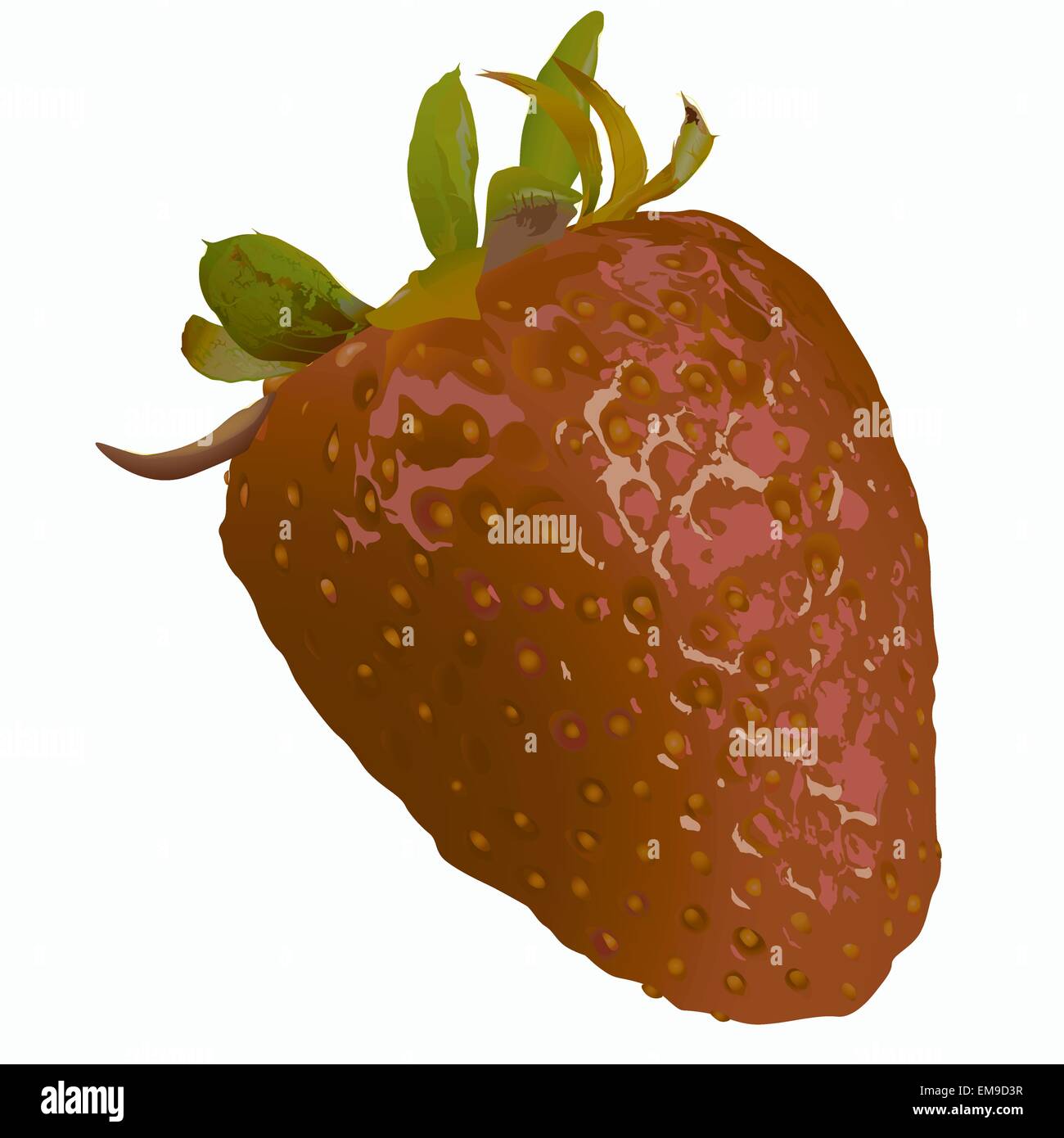 Strawberry Stock Vector Images Alamy