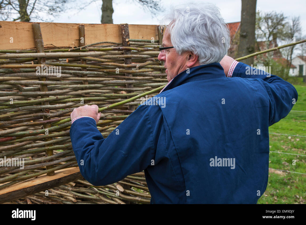 Craftsman making traditional wattle fence by weaving thin willow branches Stock Photo