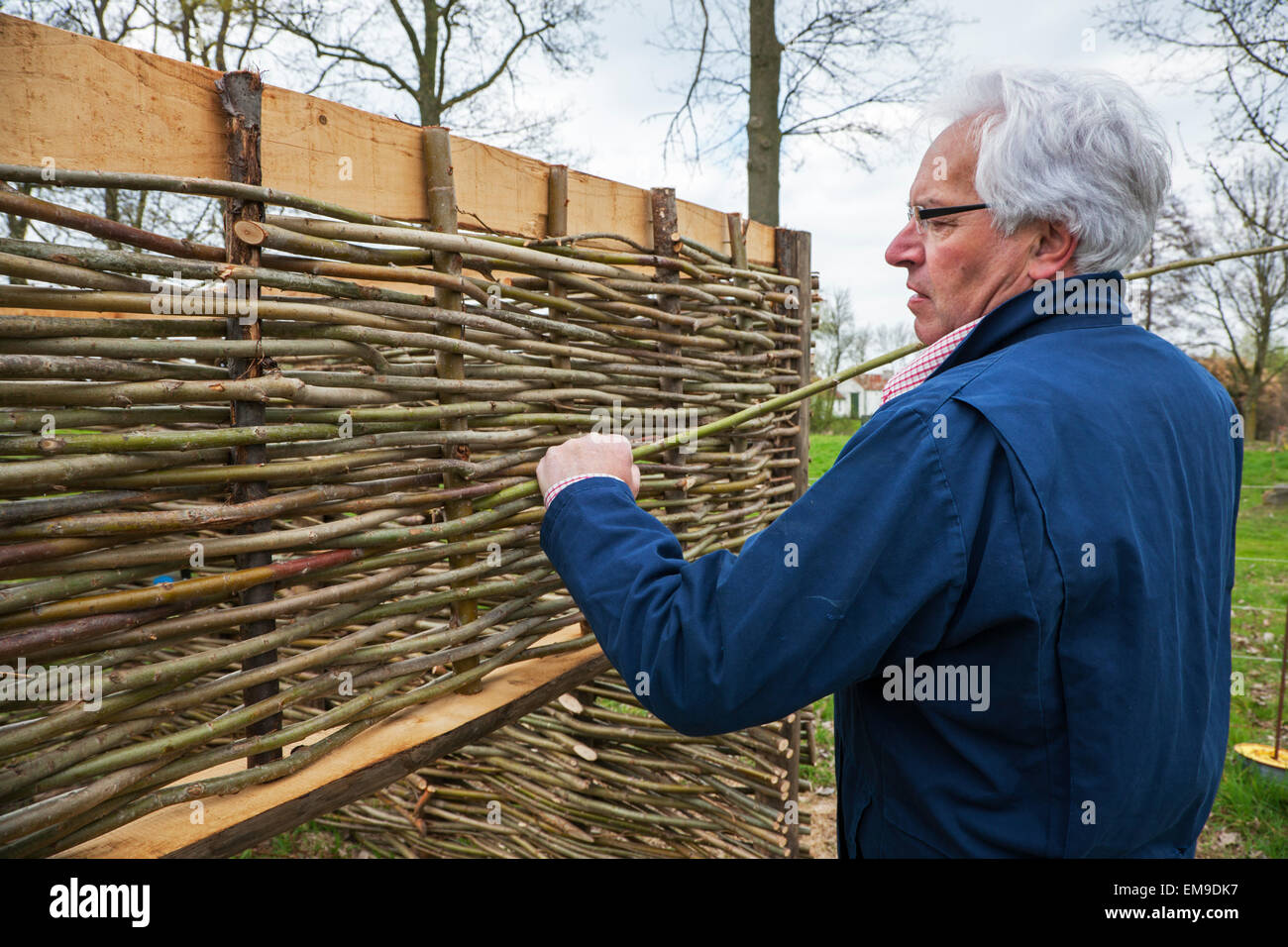 Craftsman making traditional wattle fence by weaving thin willow