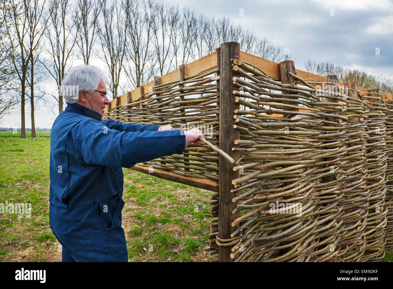 Craftsman making traditional wattle fence by weaving thin willow branches Stock Photo