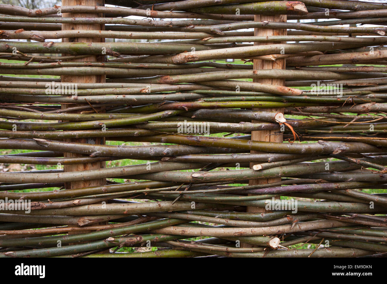 Traditional wattle fence constructed by weaving thin willow branches Stock Photo
