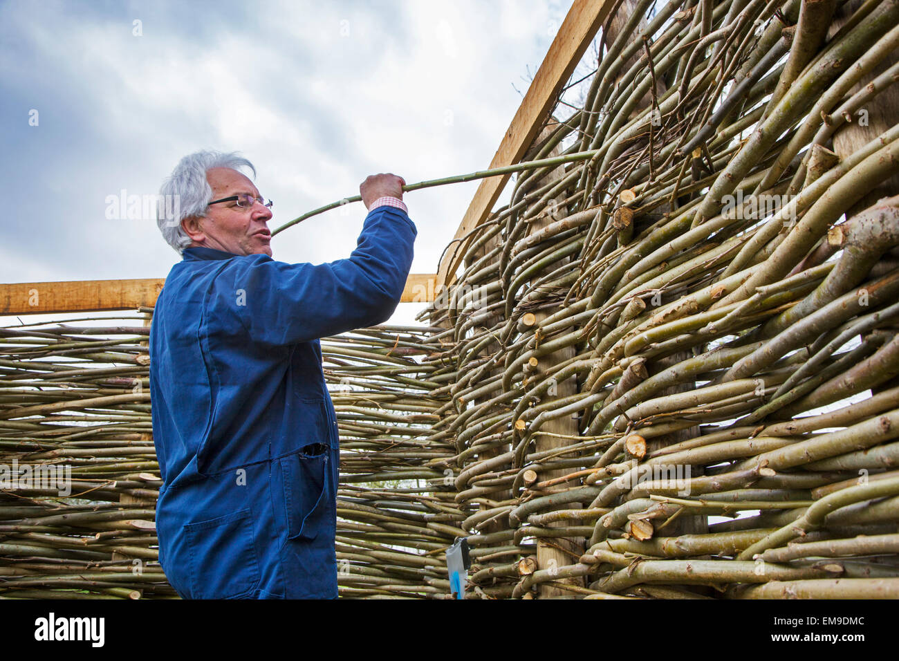 Craftsman making traditional wattle fence by weaving thin willow