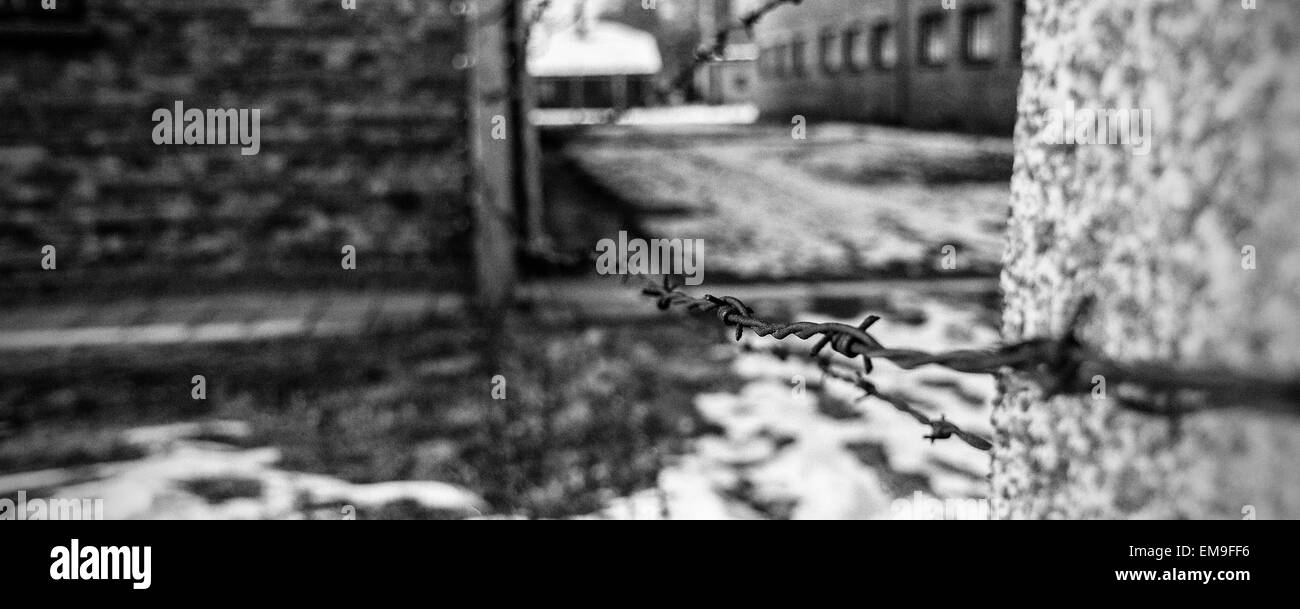 Auschwitz barbed wire fence Stock Photo Alamy
