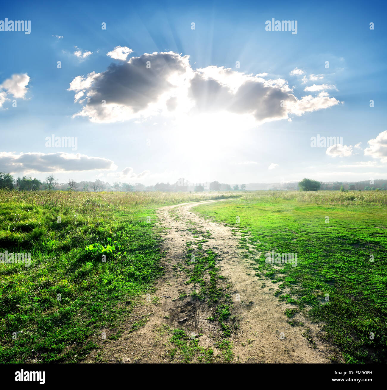 Country road in wild nature in sunny day Stock Photo