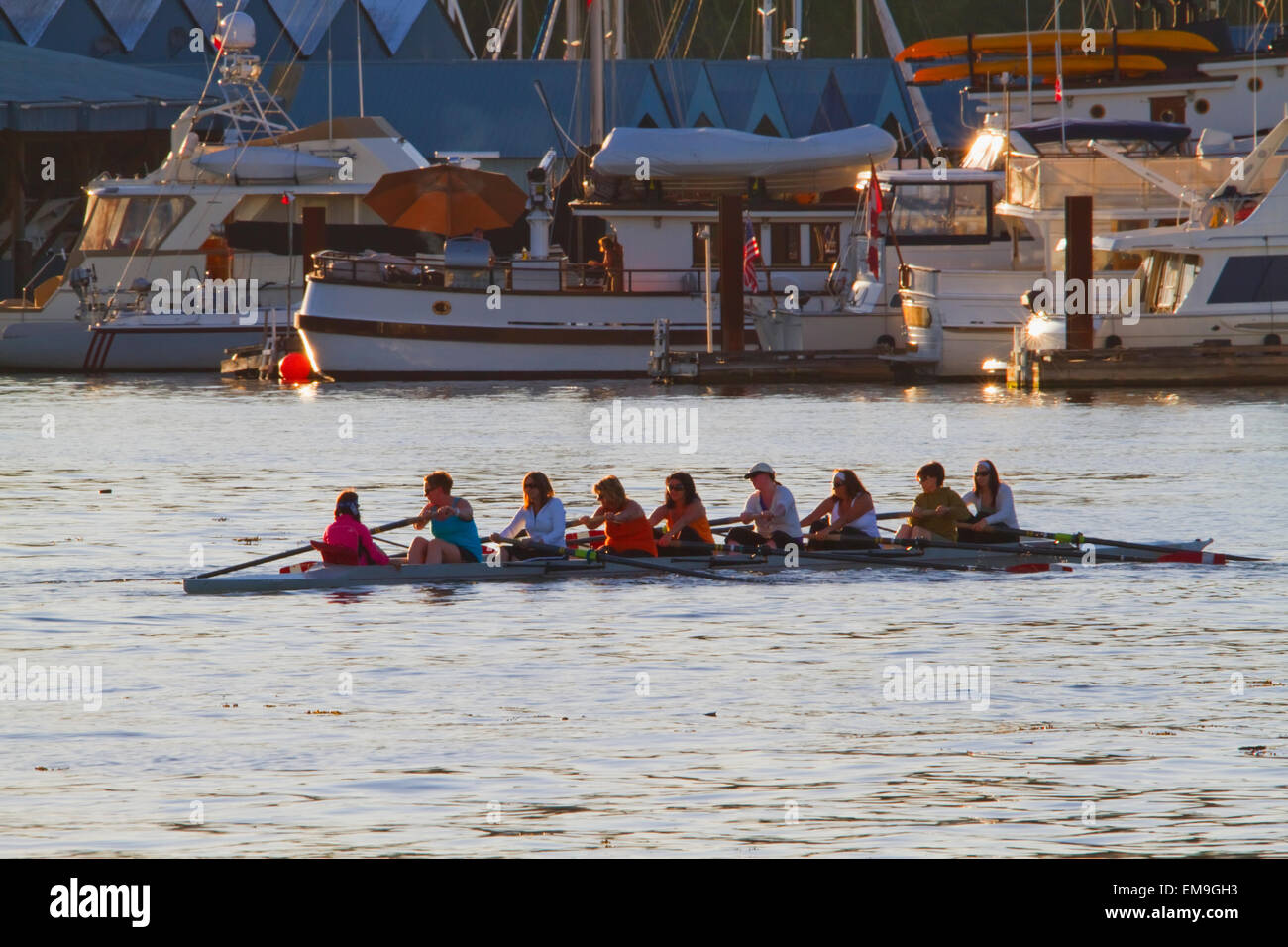 Eight Women In A Racing Boat, Vancouver, British Columbia, Canada Stock ...