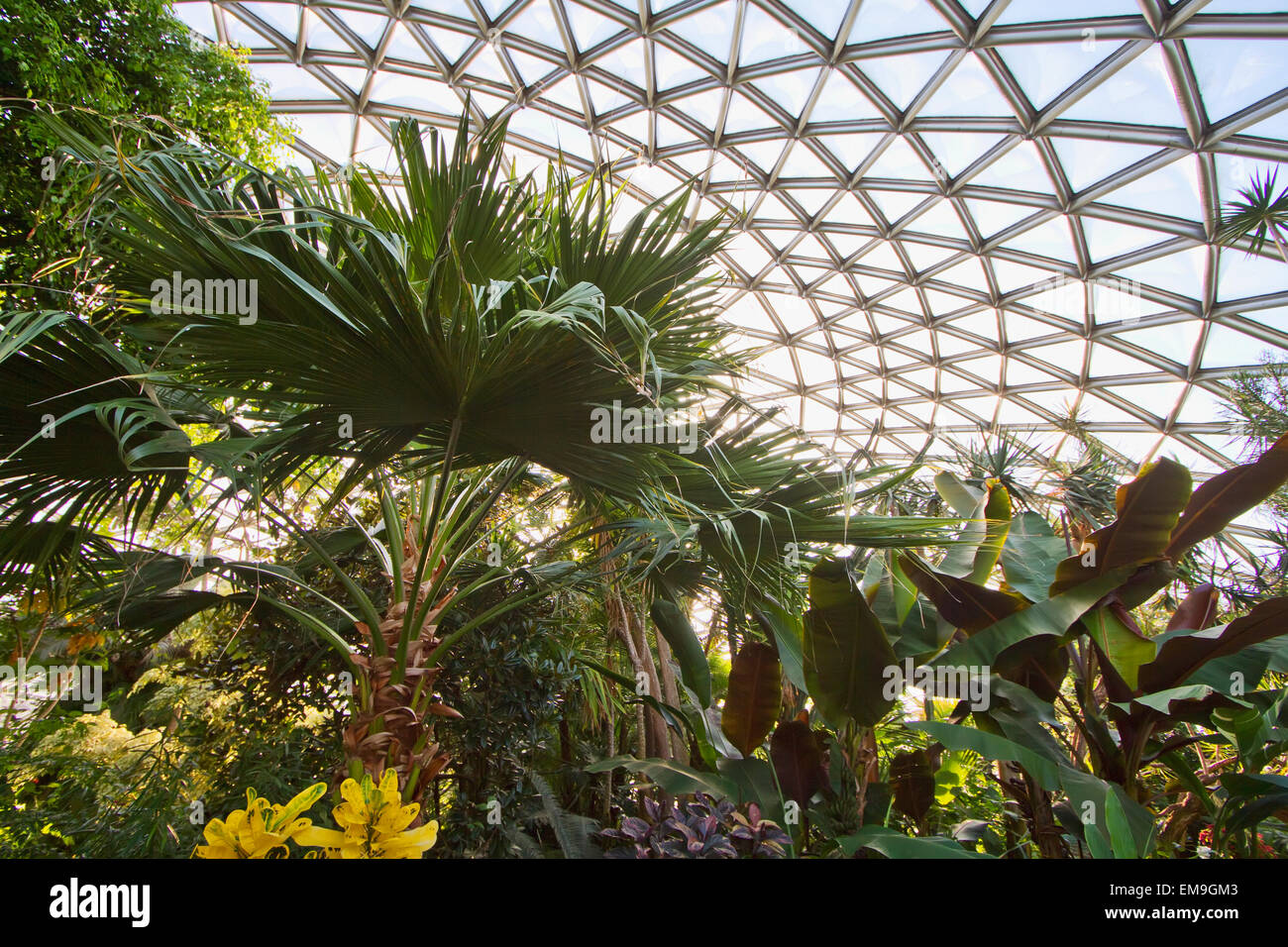 Bloedel Conservatory At Queen Elizabeth Park, Vancouver, British