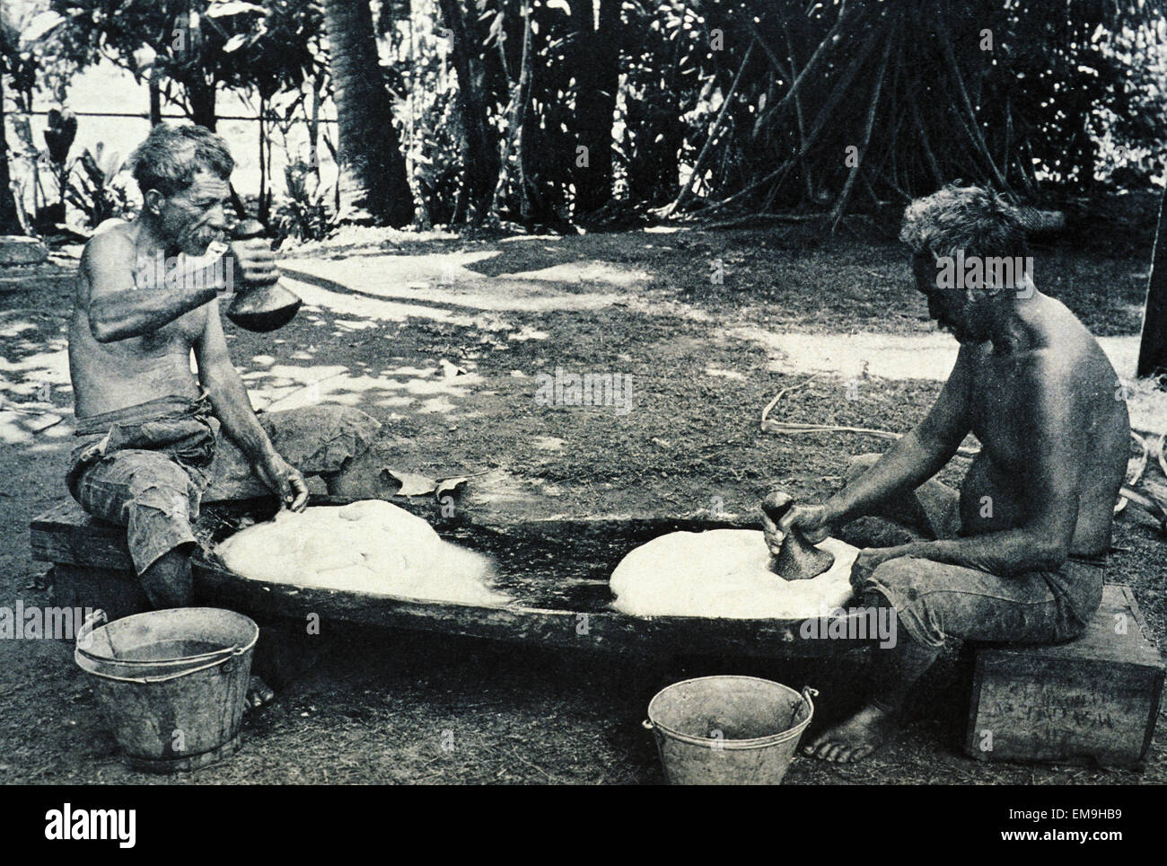 C.1920 Black And White Photograph, Hawaiian Men Pounding Poi Stock Photo