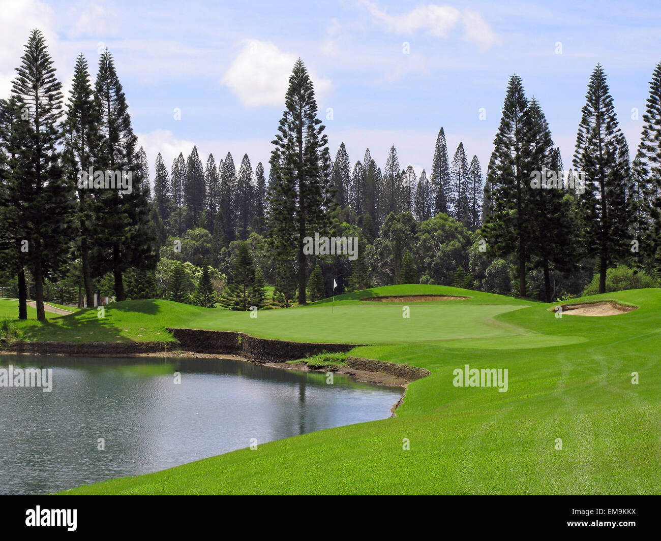 Hawaii, Lanai, Koele Golf Course, Lake And Pine Trees On The Golf