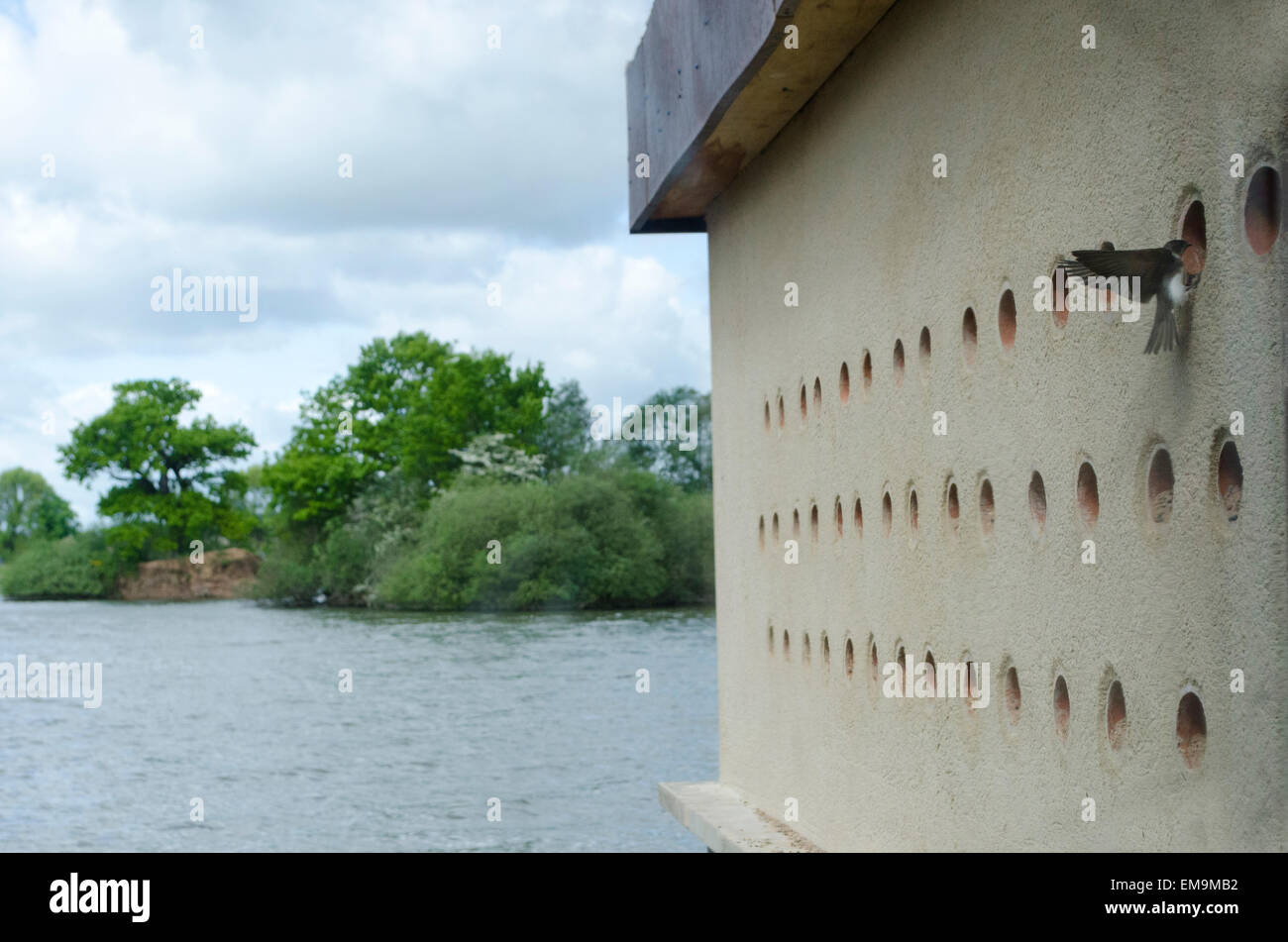 Attenborough Nature Reserve Hi res Stock Photography And Images Alamy attenborough-nature-reserve-hi-res-stock-photography-and-images-alamy