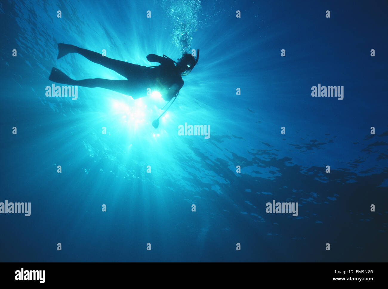 Hawaii, Oahu, Silhouette Of Scuba Diver Near The Surface Above Mahi
