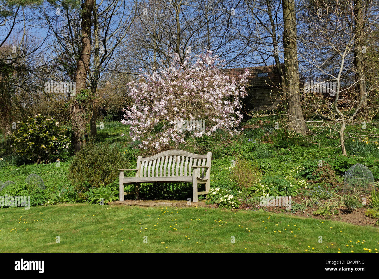 Bench in Dorset garden Stock Photo Alamy
