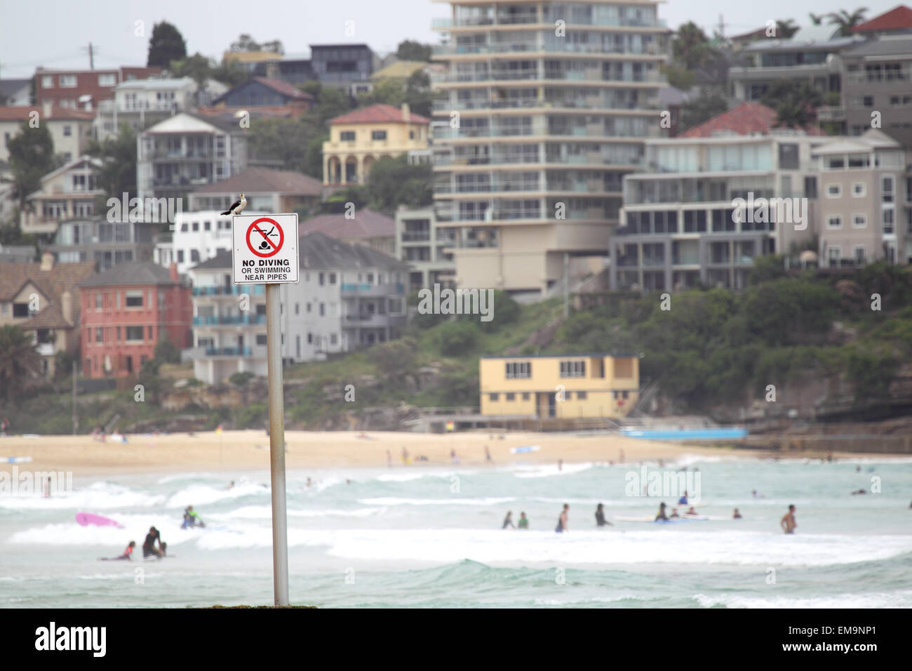 Houses near the beach of Manly, Sydney, Australia; in the front a warning sign with a cormorant sitting on top of it. Stock Photo