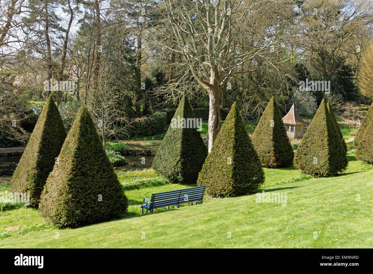 Dorset garden in spring Stock Photo Alamy