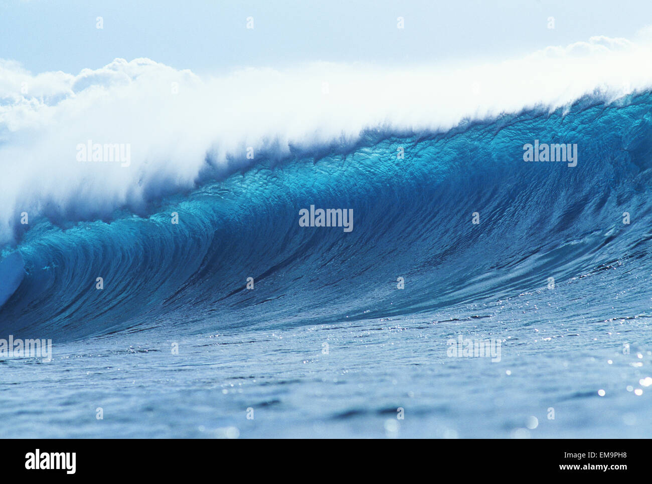 Blue Wave Curling Over. Stock Photo