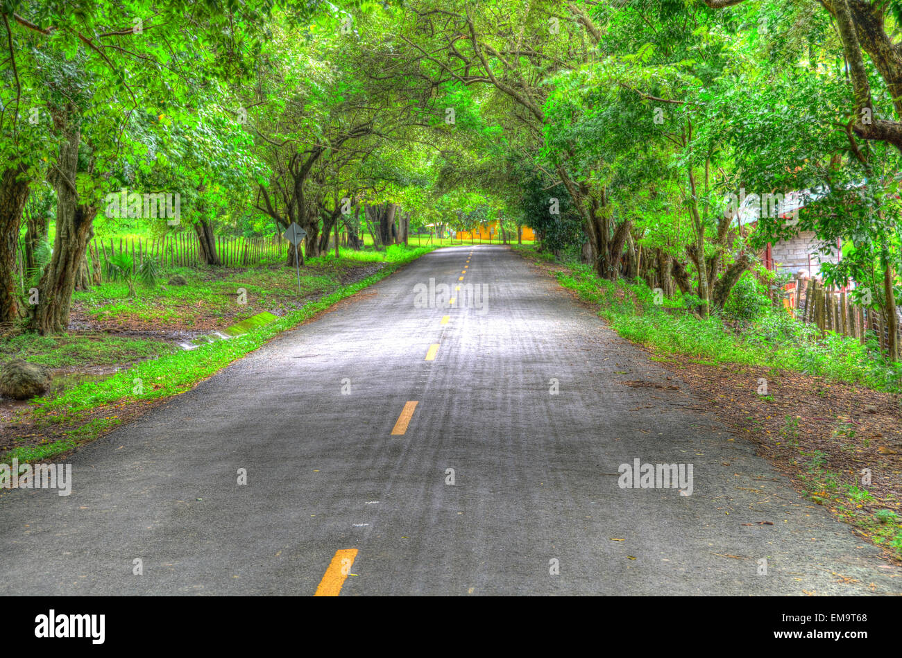 Lonely country road in the rural side of Panama Stock Photo