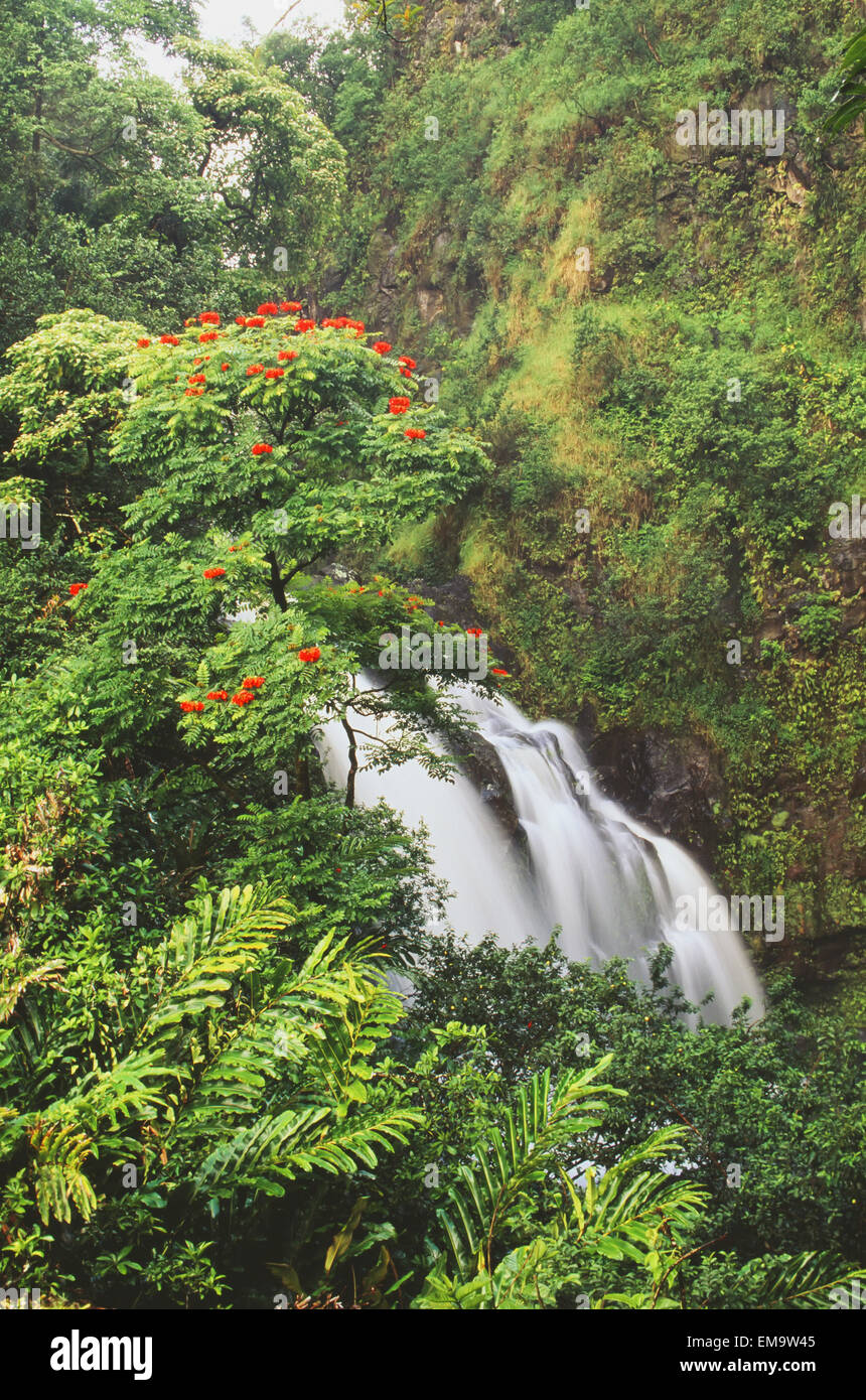Hawaii, Maui, Hana, Waterfall Surrounded By Tropical Flowers And Plants