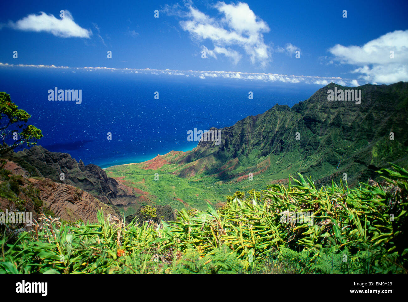 Hawaii, Kauai, Napali Coast, Kokee State Park, Kalalau Valley Viewpoint