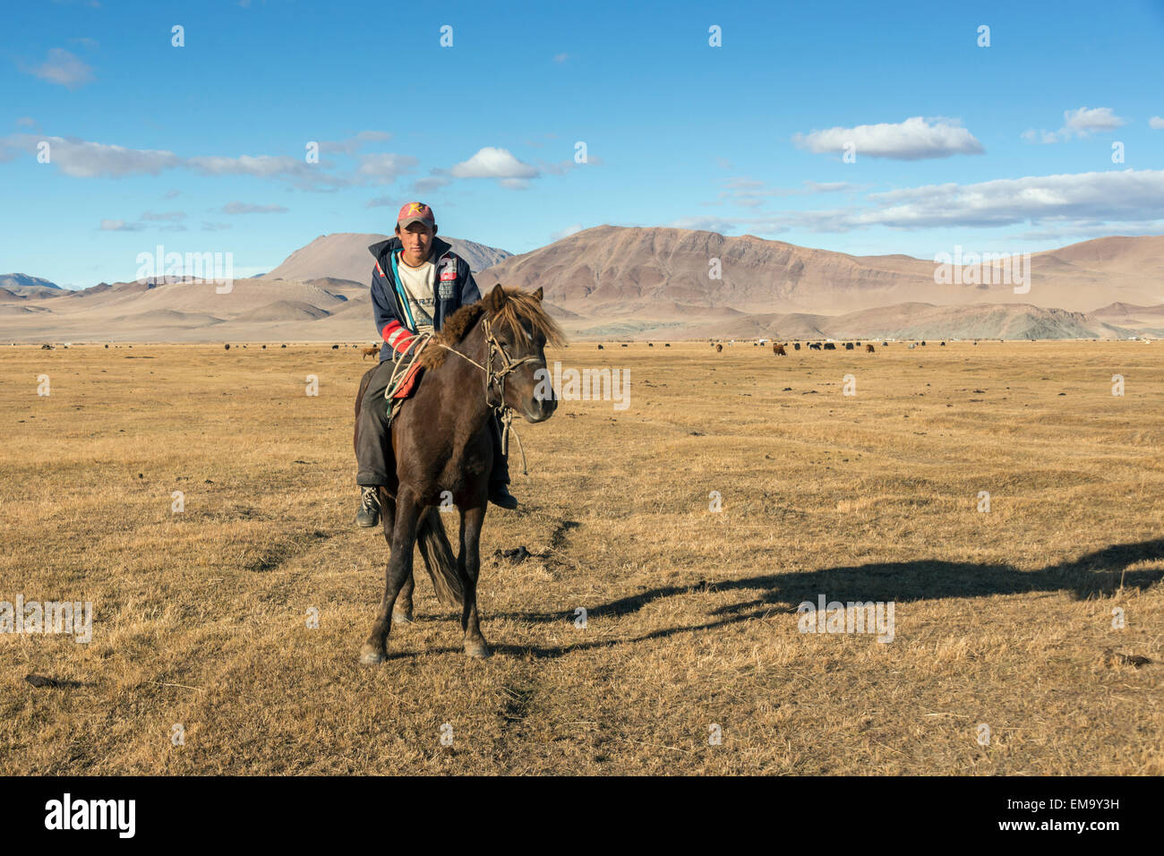 Mounted Mongolian herdsman, near Olgii, Western Mongolia Stock Photo ...