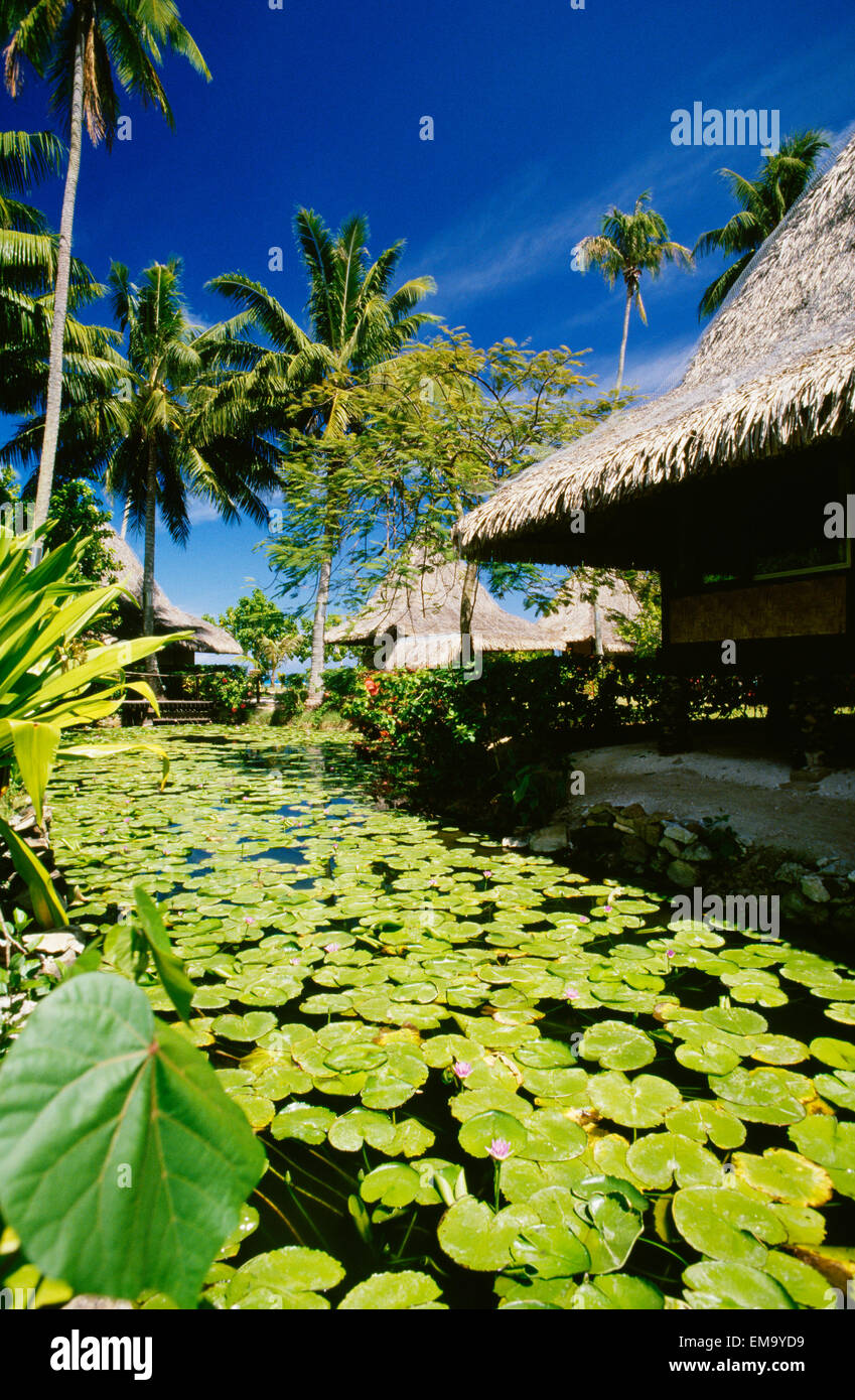 French Polynesia, Tahiti, Bali Hai Hotel, Palm Trees And Thatched Huts,  Lily Pond Stock Photo - Alamy