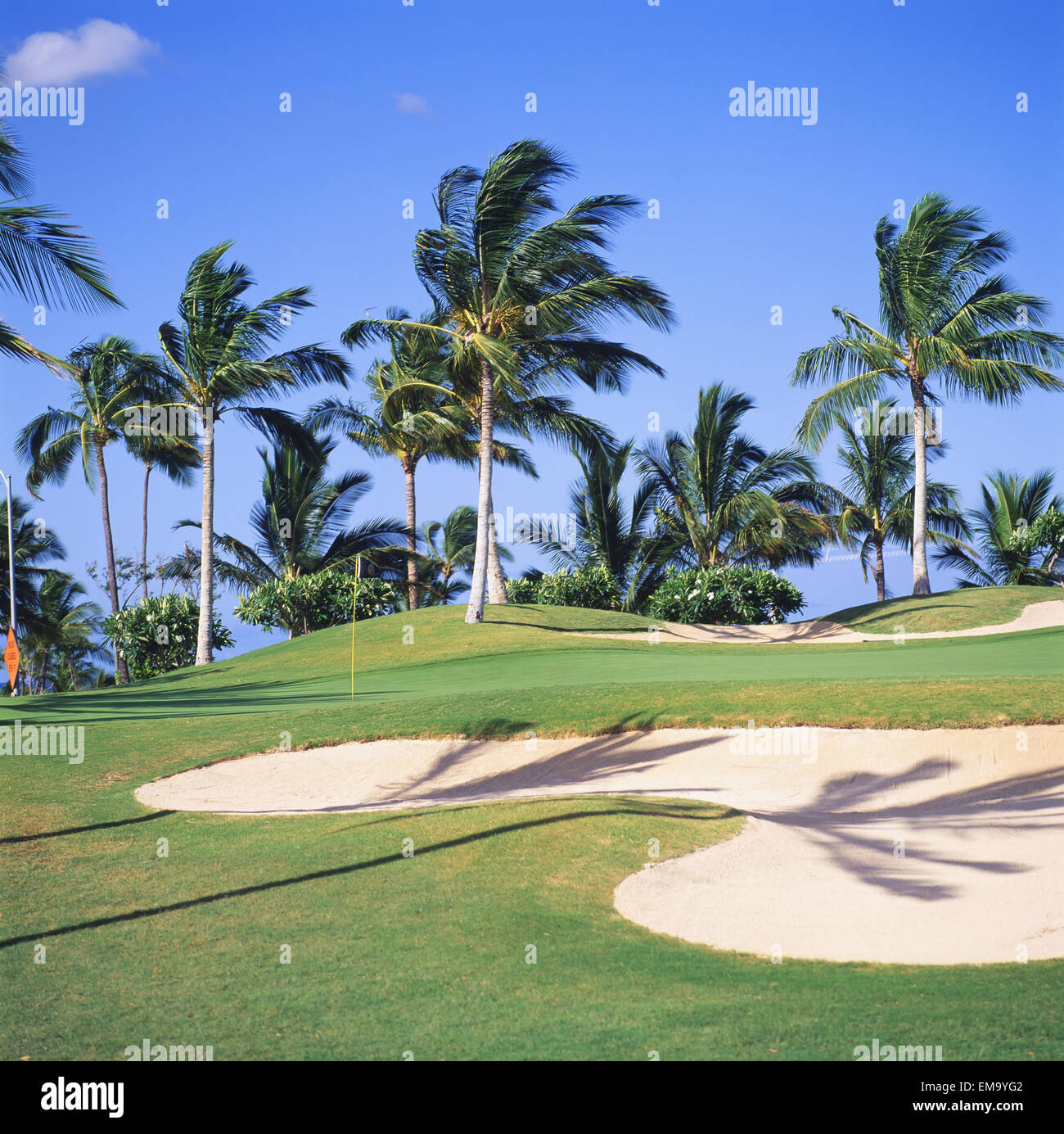 Hawaii, Oahu, Kapolei, Ko Olina Golf Club, Palm Trees On The Course