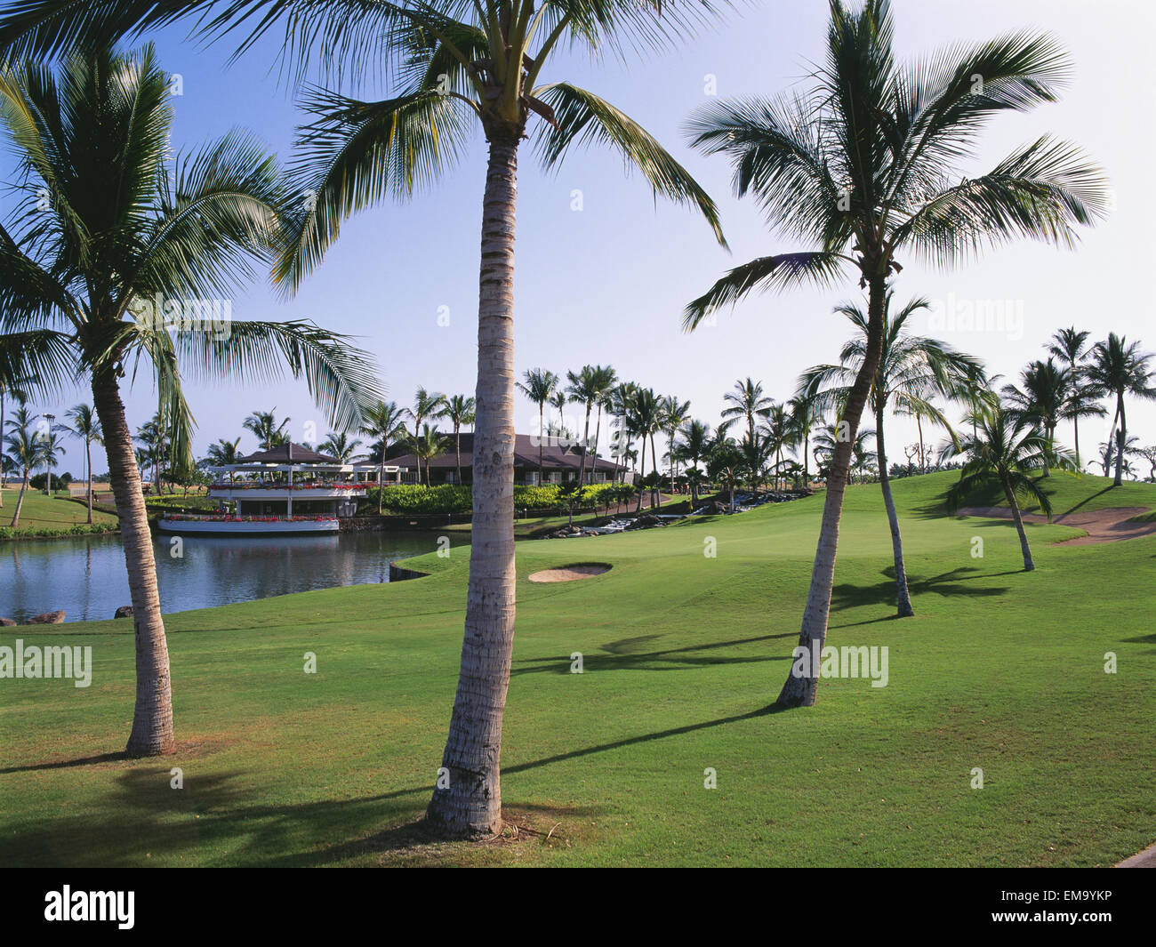 Hawaii, Oahu, Kapolei, Ko Olina Golf Club, Palm Trees Around A Pond