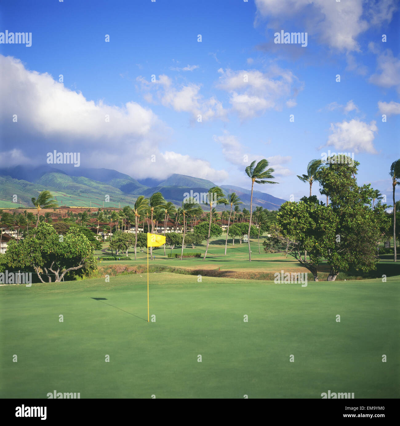 Hawaii, Maui, Ka'anapali, Royal Ka'anapali Golf Course, North Course Stock  Photo - Alamy