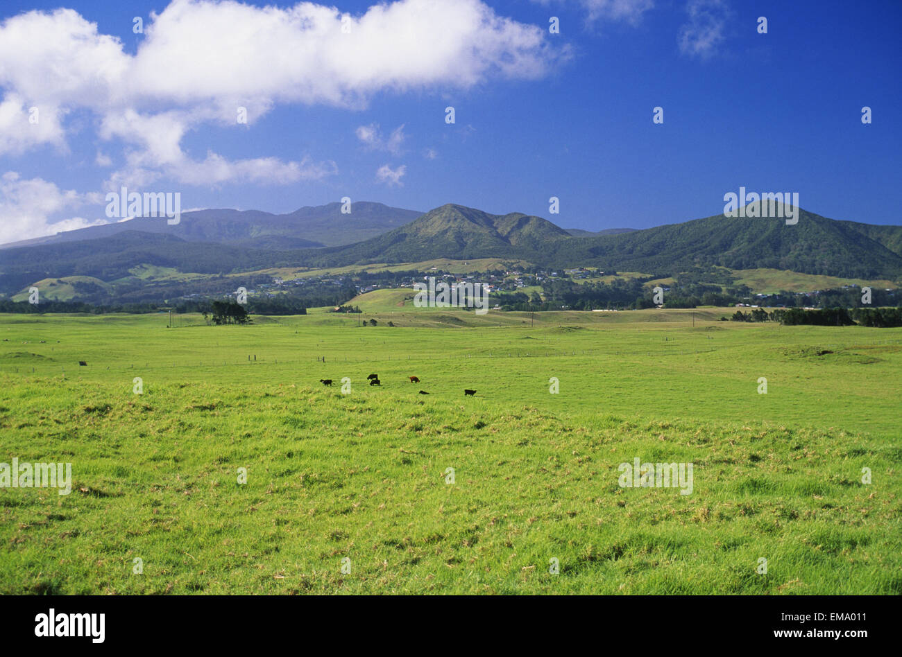 Hawaii, Big Island, Waimea, View Of Kohala Mountain From Mana Road