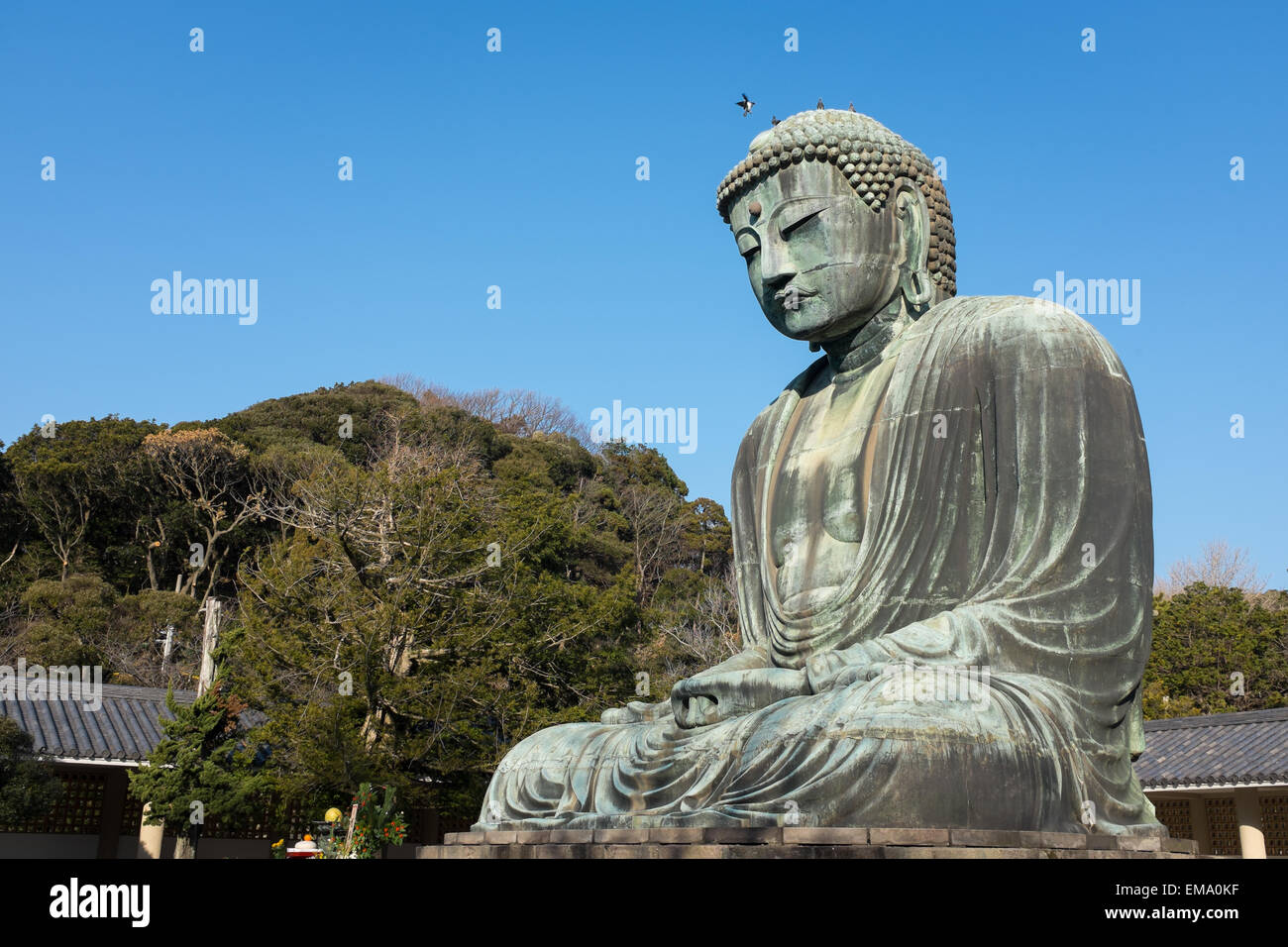 The great Buddha statue located in Kamakura, Japan Stock Photo