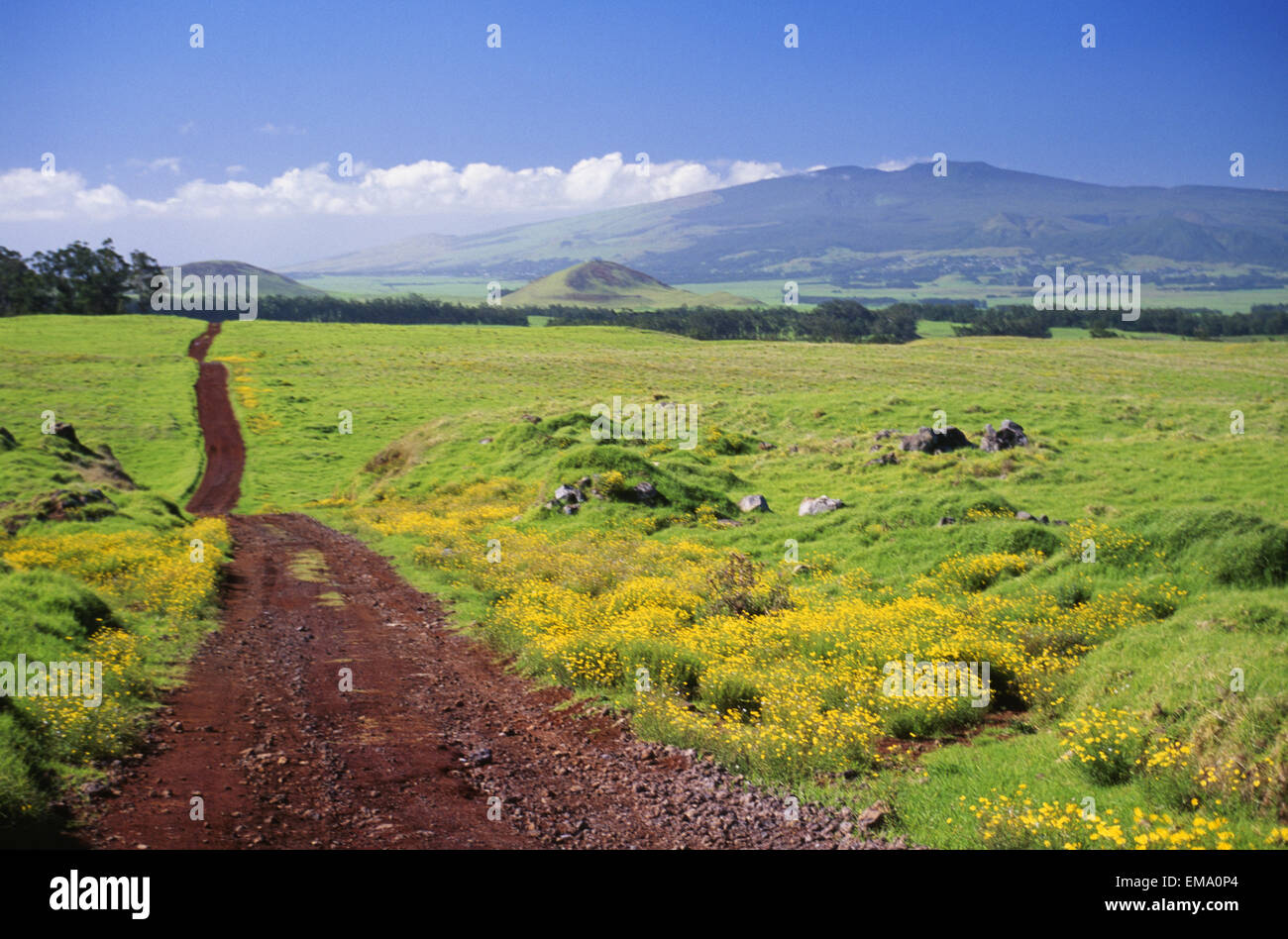 Waimea mana road hires stock photography and images Alamy
